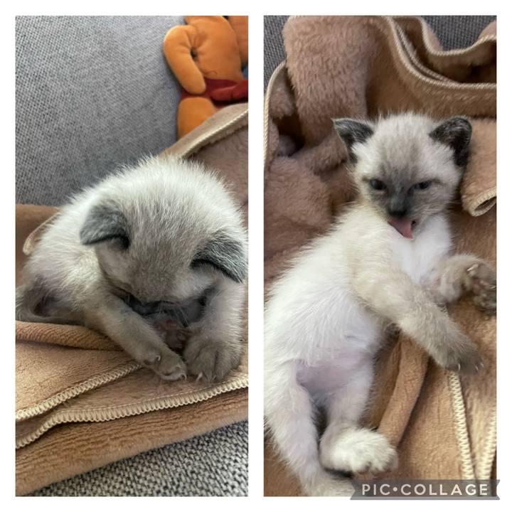 Dcc9b9bc 8da0 44fa 9721 93e3626f1f89 1685136188348