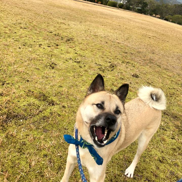 Dcc9c0e9 aae6 4bcb 8b1e 7f2e315e3cbc 1580627711385