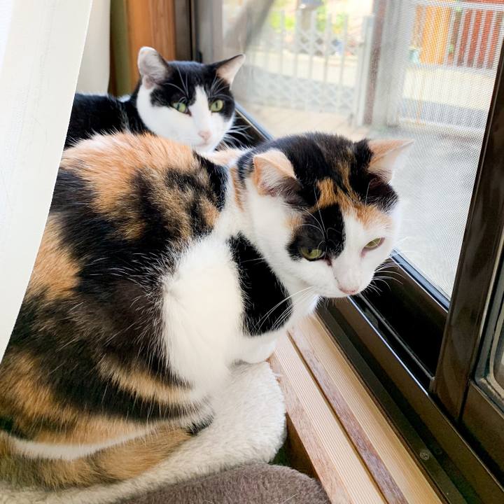 Dcca409d 62d0 4cd7 bd1e 985327c6e8f5 1546733784844