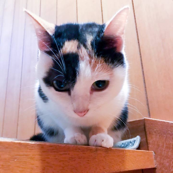 Dcca5f1b 36b9 4412 98d9 2120f43ee707 1510149324380