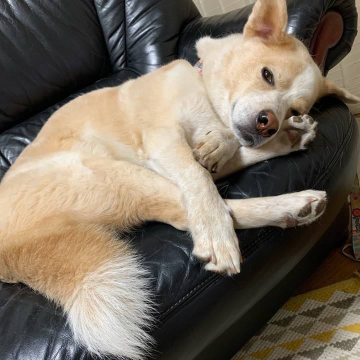 Dccaa957 ffc2 4692 a4a7 77bb0f399c57 1572968316391