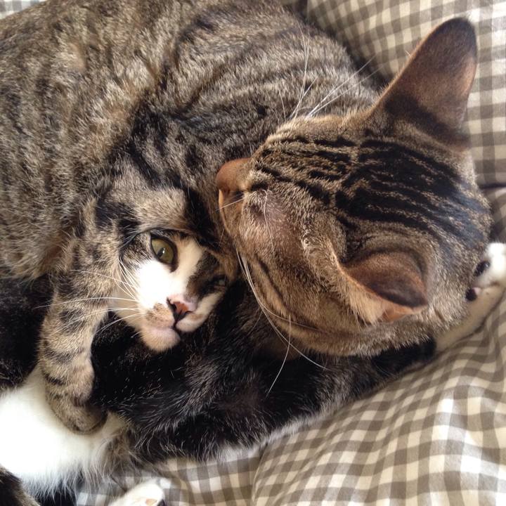 Dccab618 9254 49b4 bab8 5af88271ab90 1510284617902