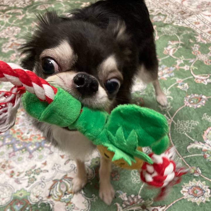 Dccadc12 3499 4990 a86a a226763bbf8e 1662212769748