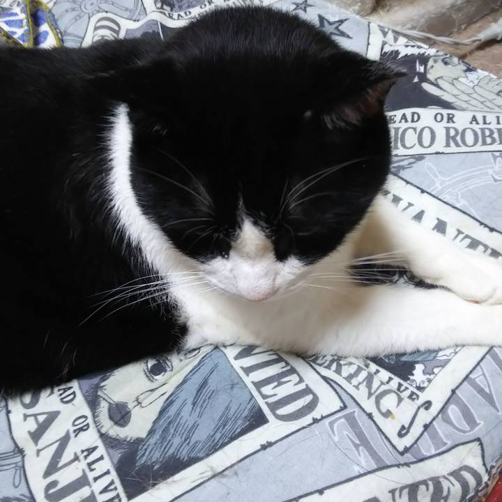 Dccb2b90 56fe 449a a415 5ae1820a2a1e 1566510867026