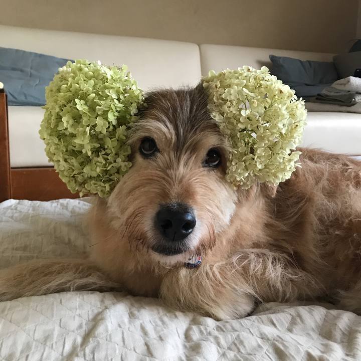 Dccb3123 42e0 488c b1e4 635cd33afd18 1656322410673