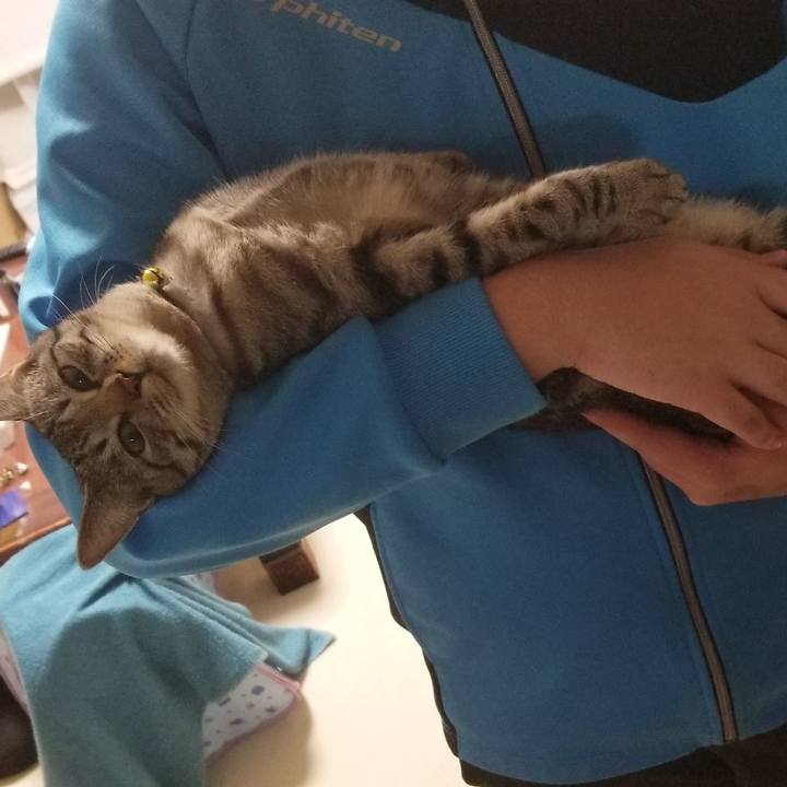 Dccb7229 5a85 48d8 9fdc 01c1495e52d6 1674485078780