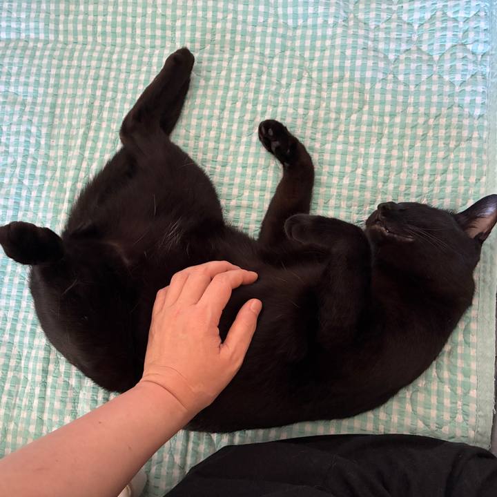 Dccb91ff 68a9 46bb 9344 aac2fc5e79dd 1754177409285