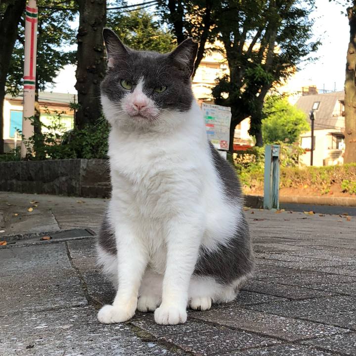 Dccbd8ab 89d3 4d9e bf9b ad6a1b701383 1633427720869