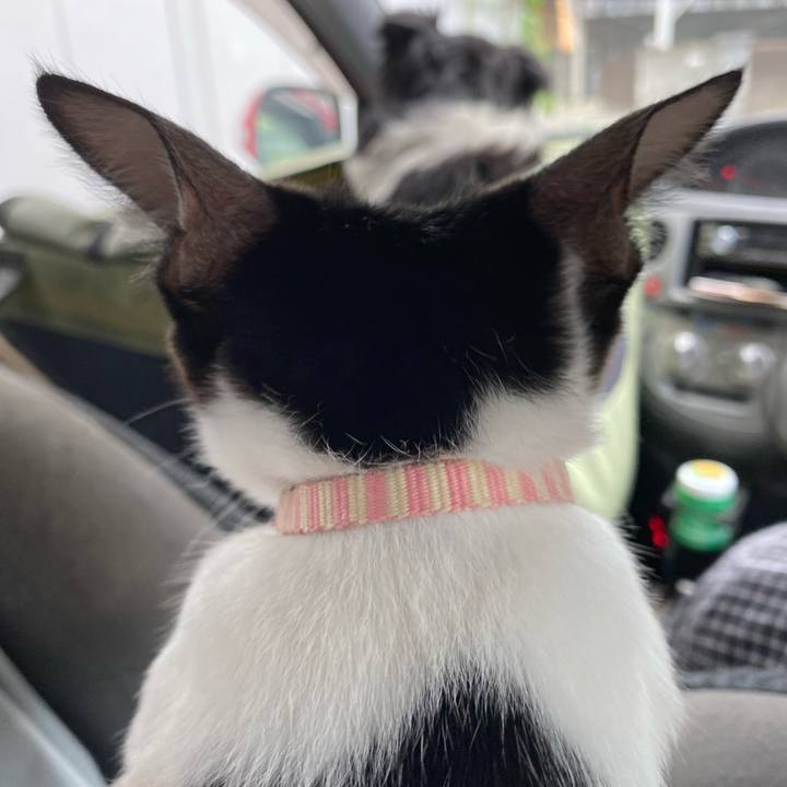 Dccc04f9 76c5 41d9 b62f ef71d721cd2f 1627896681117