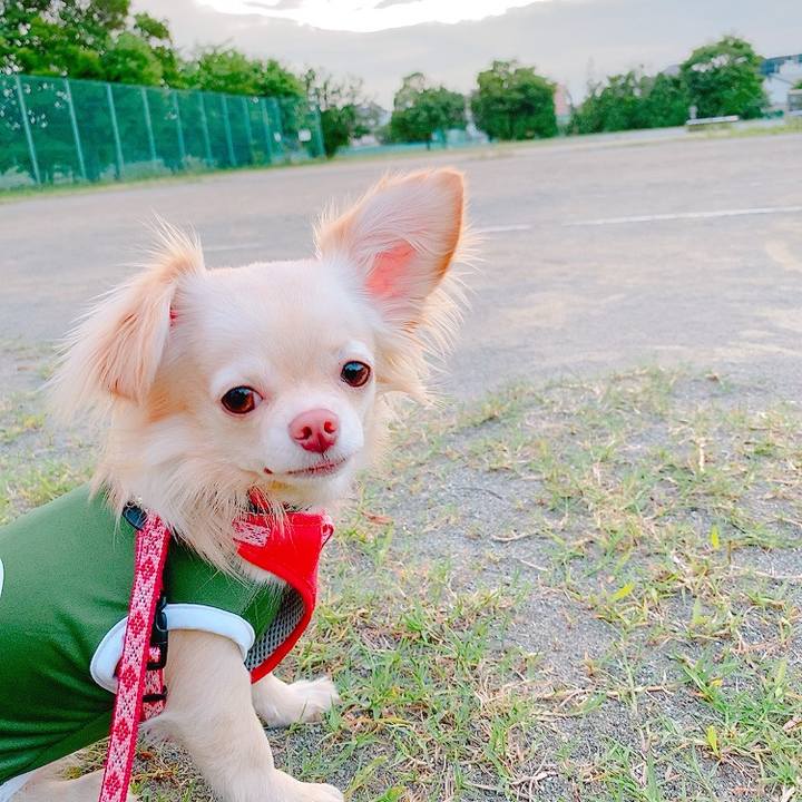 Dccc0de5 bcde 4490 9ea6 fdf832c72720 1623581792312