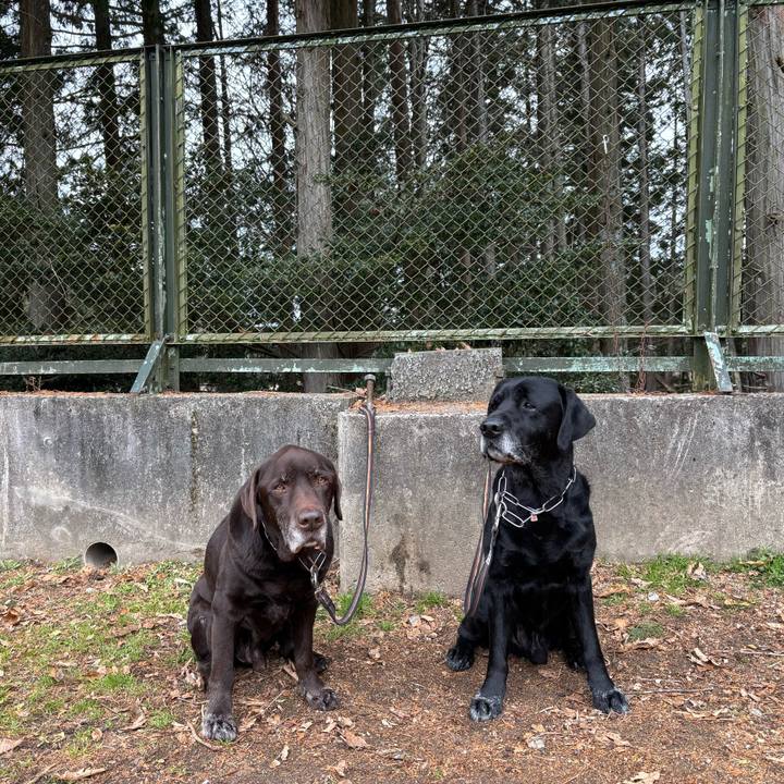 Dccc386a 7ed9 47e9 917f 57a4b49a471f 1767522814818