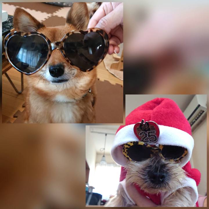 Dccc3dec 10d0 4d21 b3c9 cbeb2b49a405 1608703498219