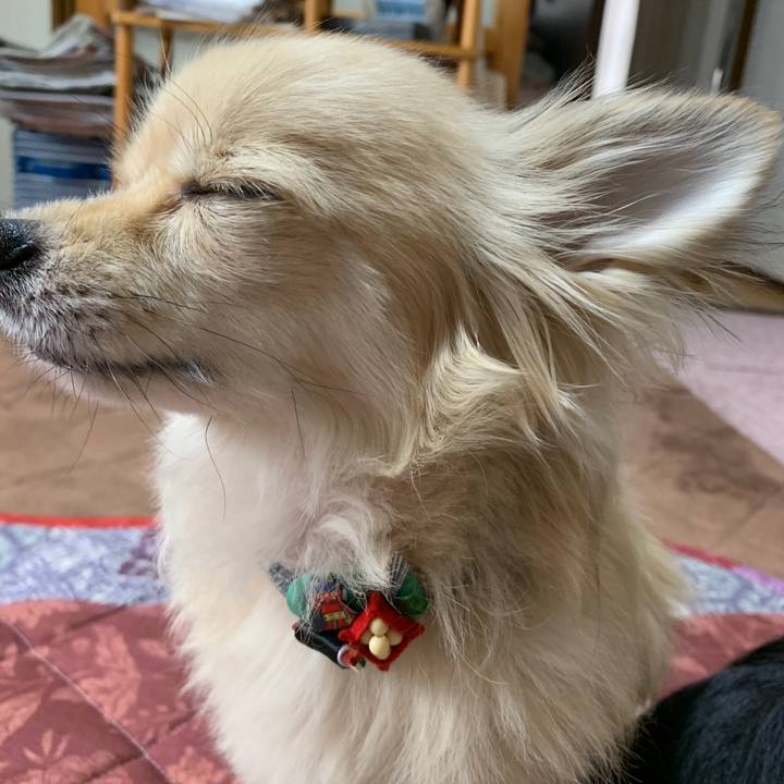 Dccc4b91 4570 4208 bb4c fa4a85fb4157 1579334515070