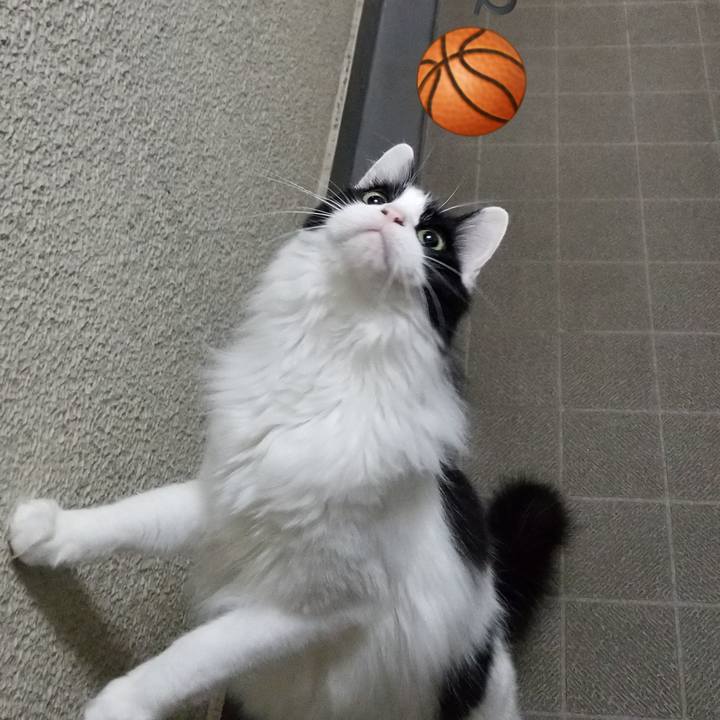 Dccc813b 8f3a 4b85 beae c8454162c390 1560980759362