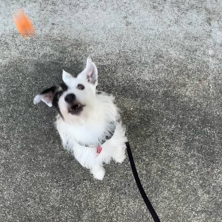 Dccc9ada 719c 4ba3 9678 102f5d0b49ef 1694472464214