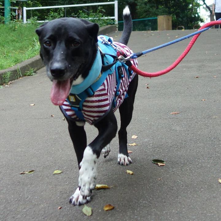 Dccca6e6 870a 4c48 9d9c d49824850a91 1629935082061