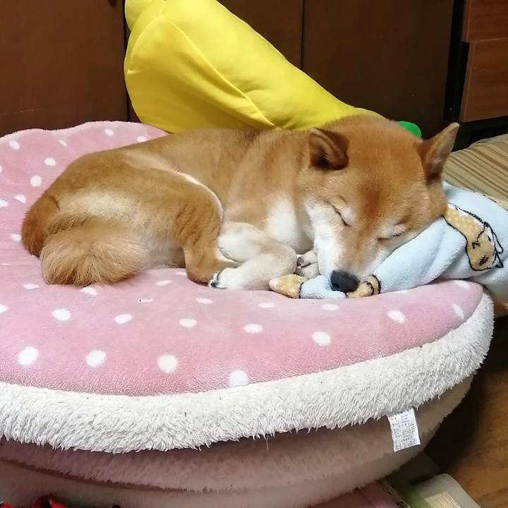 Dcccae69 af32 41c2 9b58 0f8a09424388 1682525235735