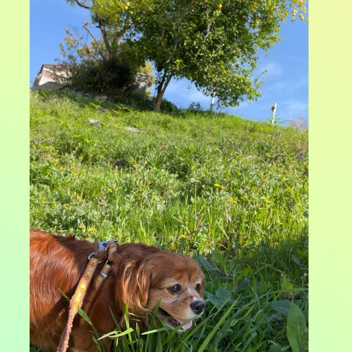 Dccd06be 6f43 4815 8531 8c9eee23688a 1712972890309