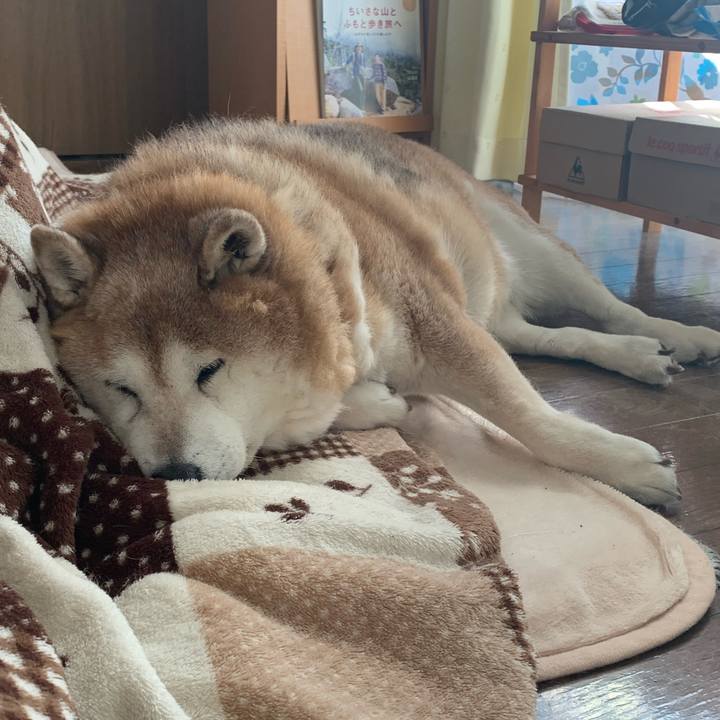 Dccd37e4 7a74 40c9 bd20 6298546ec61d 1612074795534