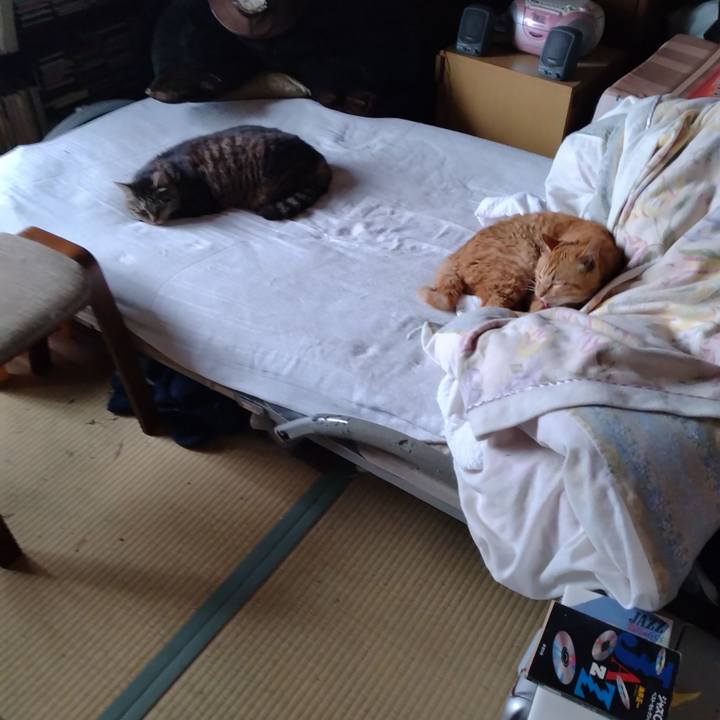 Dccd572a e7f5 49c5 af66 c541f17584b6 1687907614463