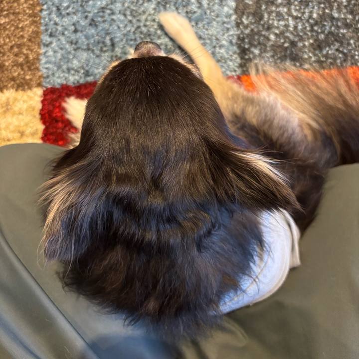 Dccd6c6b 6438 4fc9 a480 0e466be8a446 1747586983386