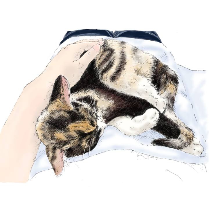 Dccd73df a318 4561 8cd1 f18fbce6bddb 1656324692327