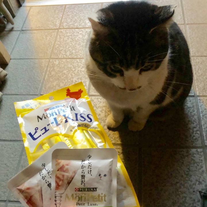 Dccd9340 e37c 4ddd ad8e 079dc076c80f 1552389934314