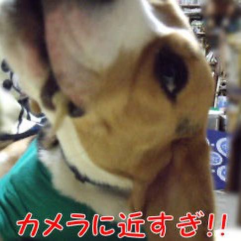 Dccda69c f6bd 4fec 8dd0 d8acb9182f52 1701563435405