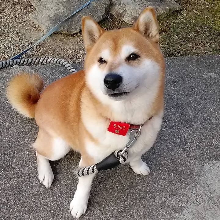 Dccdad77 9bb9 441d 9ff5 f9930ad9b12b 1678234188720