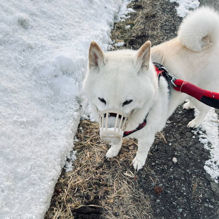 Dccdb995 311b 499a 9ef0 beba9c577323 1771971184354