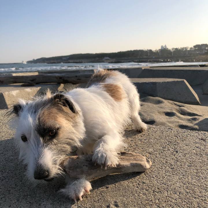 Dccde96b 5412 41fa 9c03 4757240fb54a 1605569554770