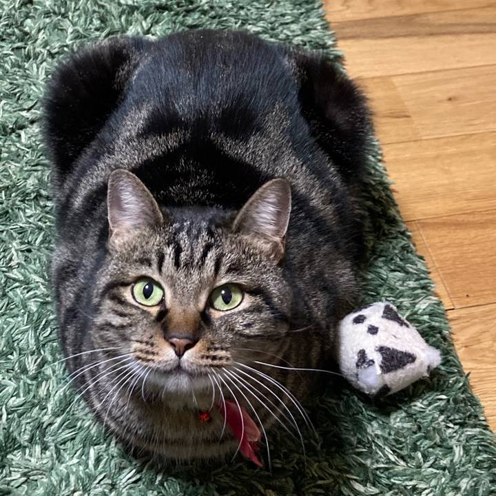 Dcce2807 4b8b 4b5d a8c0 3c34c7d047a0 1610367124579