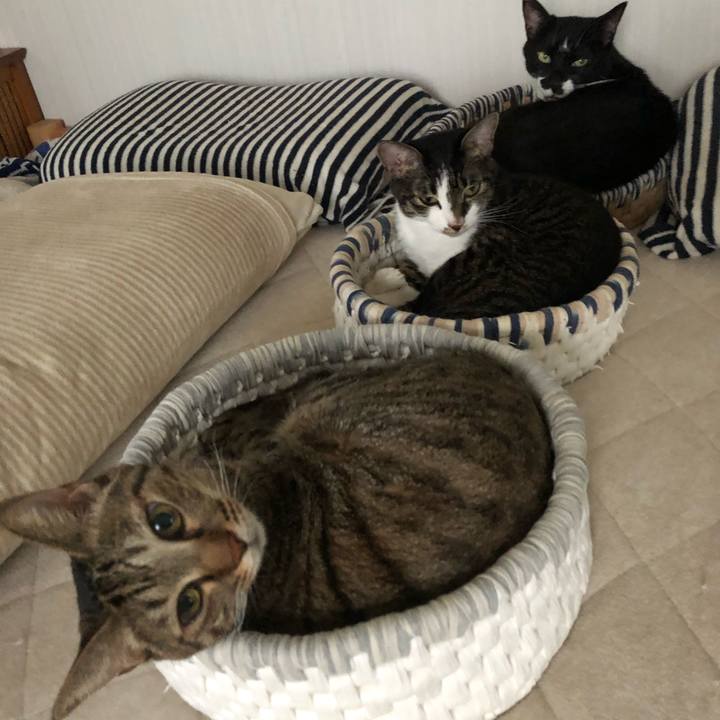 Dcce2e7f c005 4159 a3fe e9cff0a2634c 1601293976408