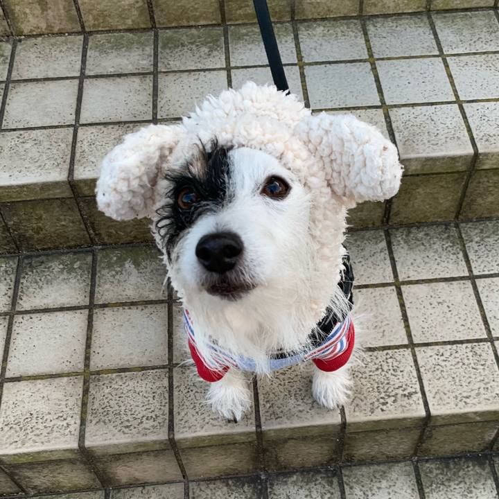 Dcce357f f03a 4628 83a5 a12362d533fc 1670830525909