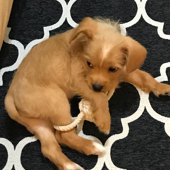 Dcce3b88 e18f 453a 977d 175f57b8795f 1517994871684