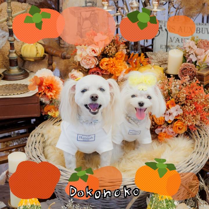 Dcceae74 3791 47e0 89d6 8ad61117067f 1761479472991