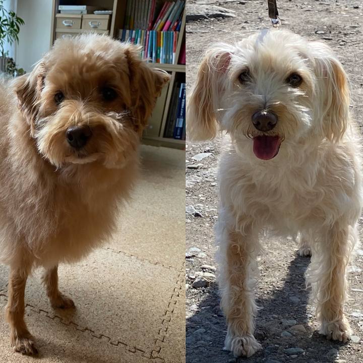 Dccecada f808 45c7 820e 244b7003001b 1632555101118