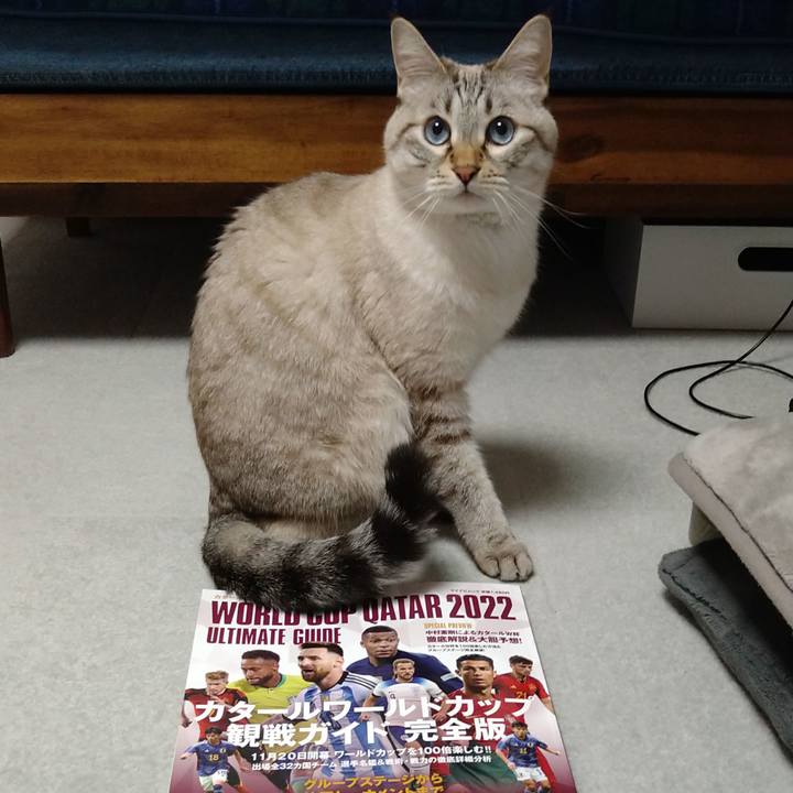 Dccee9c8 c987 4a30 987d b24b0f2912e2 1668770894267