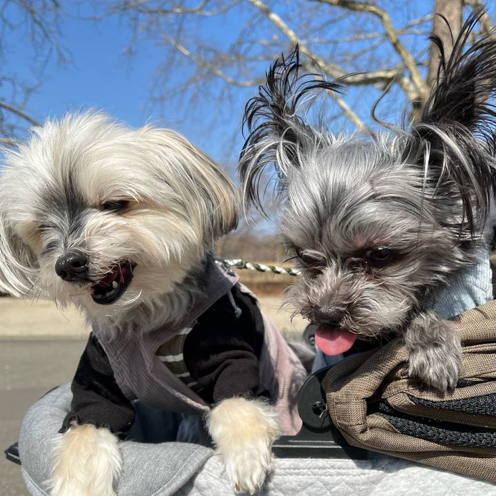 Dccf2e8f c50c 4ace a92e a2f1263507ef 1771143060041