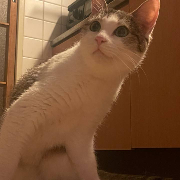 Dccf8399 5559 43fe bc31 f6c0ae092a0d 1624791420010