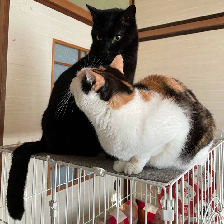 Dccf884c 1c69 4427 a9df b6d6e161233b 1612663860820