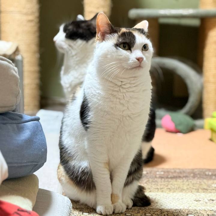 Dccf89d5 abe7 44db 8be6 a162cf2c3e95 1770256858575