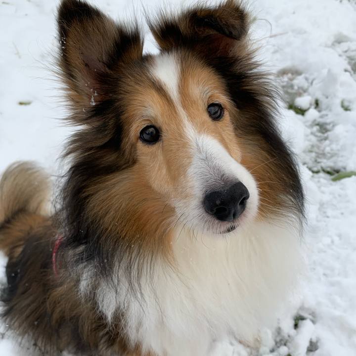 Dccf8fa7 fdc5 4685 b7d7 42806a4ec1b4 1573980212205