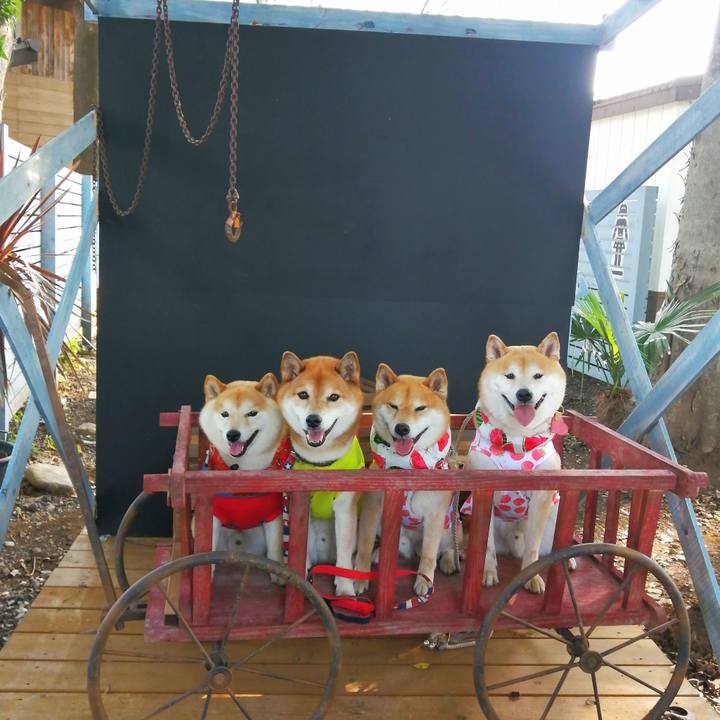 Dccfad3d edbd 4b9e 8170 489e3fb49d25 1688457836241