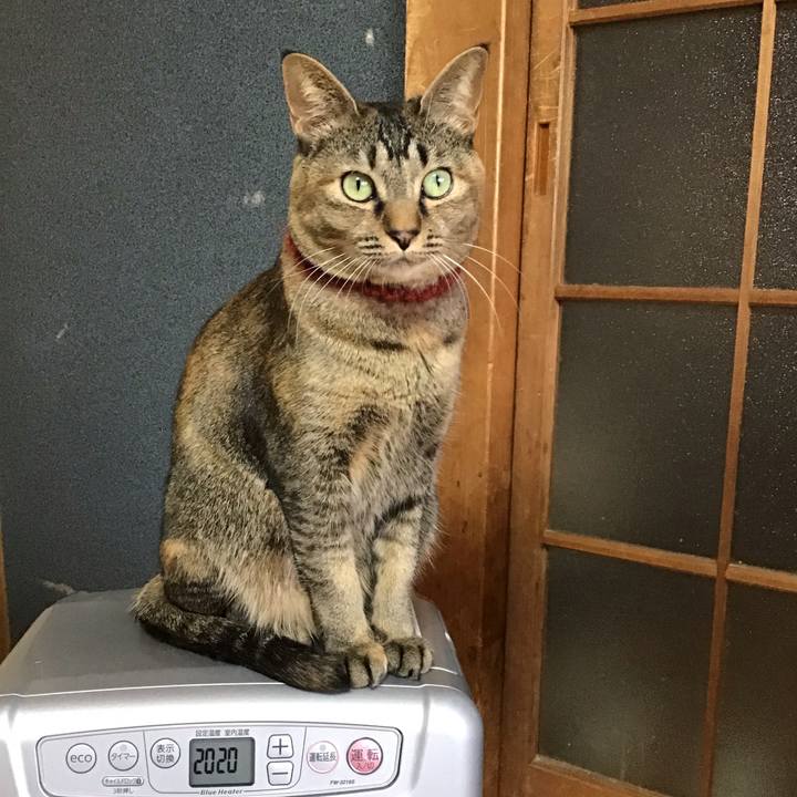 Dccfefd0 3d45 4a5c b186 58ae0d0b9b9c 1641942908977