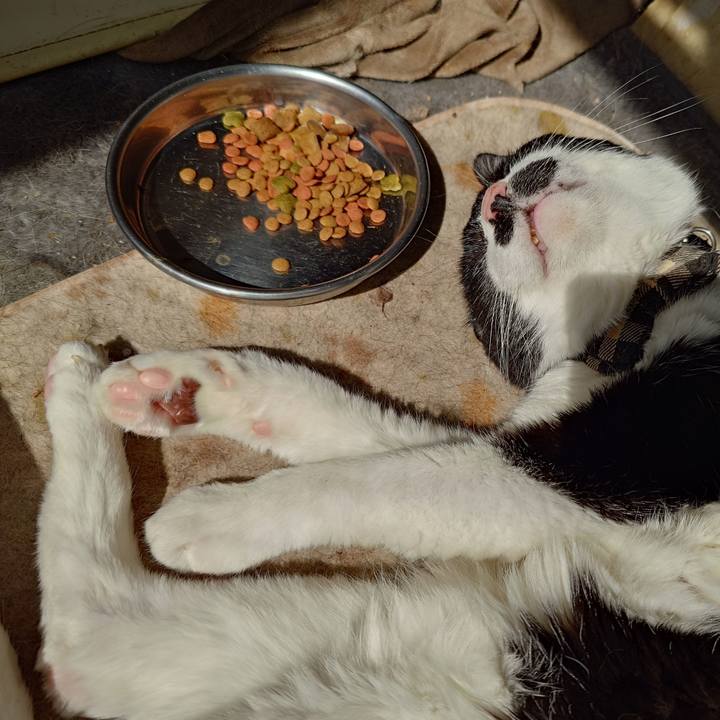 Dccff347 271d 429b 80e7 17d8d5f94ef0 1773299600028