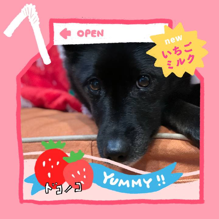 Dccff818 c986 46be 93ea 86a8c32d5487 1711100012759