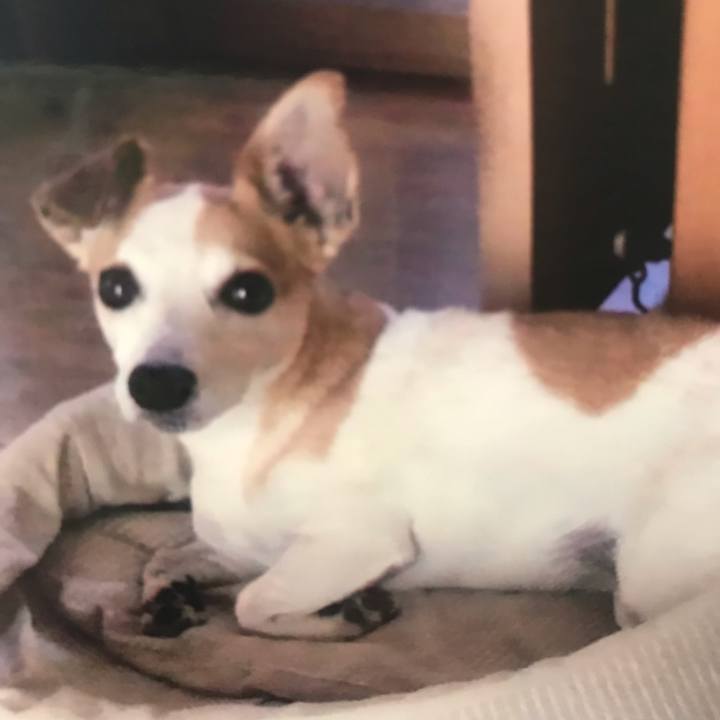 Dcd005f0 2a05 43ad b708 2c68aedf44ff 1566269118269