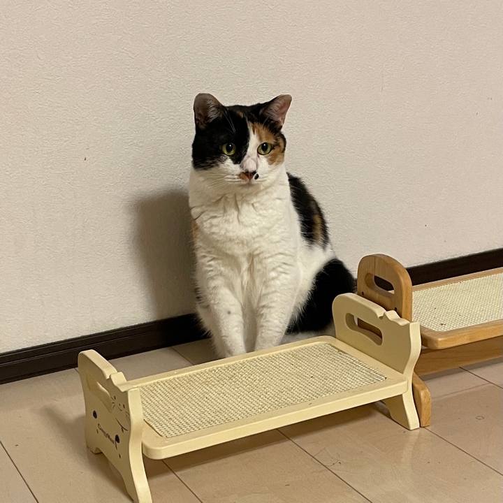 Dcd00d51 6d5a 4d4f 9698 9ca09f68588a 1626965464299