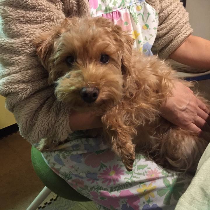 Dcd052c3 4c01 48a8 8453 6f68f6294676 1519942090679